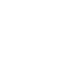 wordpress website development